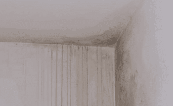 אינסטלטור בפתח תקווה לנזילת מים מהקומה מעל בקיר בקומה מתחת