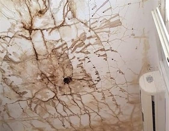 בעיית רטיבות של צנרת מים לקויה.