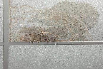 נזילת מים מהתקרה וסימני רטיבות