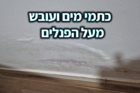 כתמי מים ועובש מעל הפנלים