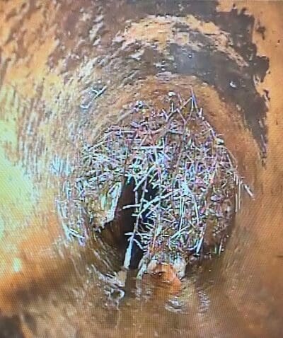 סיב אופטי לאיתור שורשים בצנרת הביוב