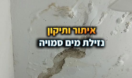 נזילת מים סמויה 